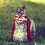 Michael Warlick's photo