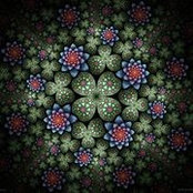 Whitney Larkin's photo