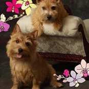 Melanie Bryson's photo