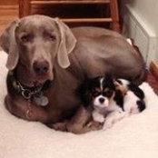 Gloria Jensen's photo