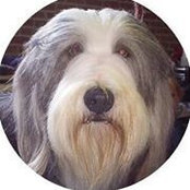 Julie Grawe's photo