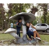 Diem Thuy Tran's photo