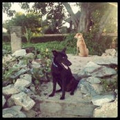 Locky Cooper's photo