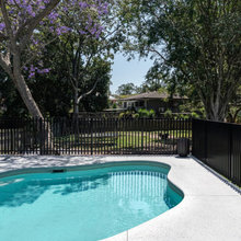 Fence & Pool