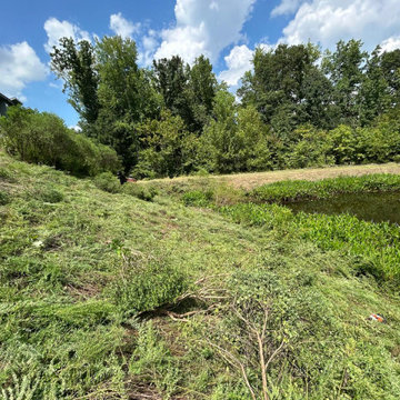 Professional Landscape Maintenance & Outdoor Cleanup