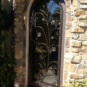 Zinfandel Wrought Iron Door Insert - Operable Hinge Glass and Screen Package
