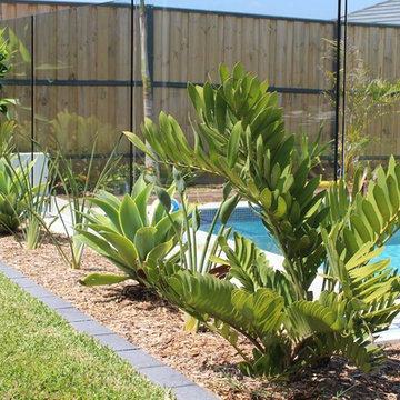 Landscape Design - New Residence
