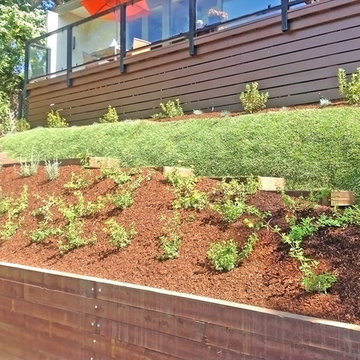Unique Hillside Landscaping Design