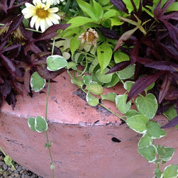 Large Concrete Drum Planters - Outdoor Pots And Planters