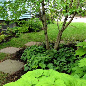 Somerville Green