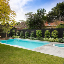 Palmy Pool