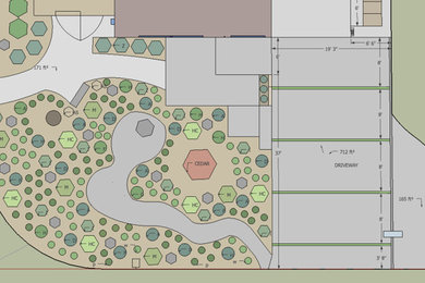 2D Landscape Design Plan