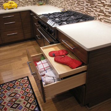 Contemporary Zebrawood Kitchen