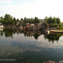 Pond