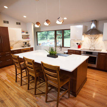 Contemporary Renovation