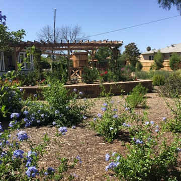 Dry Creek Bed and Rain Water Harvesting in El Cajon