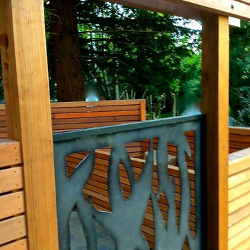 Modern fence and gate