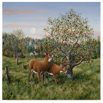 Jeff Tift 'Whitetails Under The Apple Tree' Canvas Art, 24"x24"