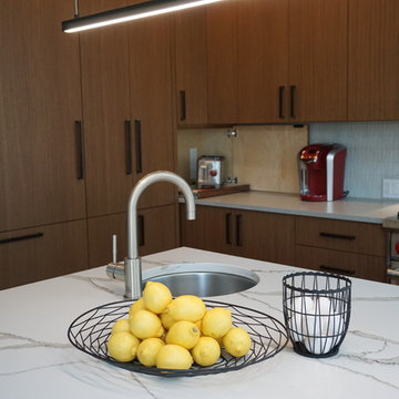 Chicago Lakewood Balmoral 1893 Farmhouse expands into contemporary living