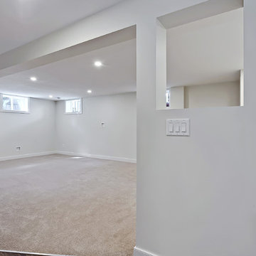 Glenwood Basement Renovation