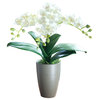 15" Light Yellow Mini Phalaenopsis Artificial Orchid Arrangement  - Grace