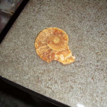 Inlaid countertop