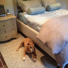 guest room ideas