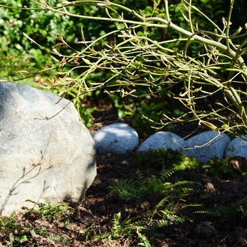 Japanese Inspired Garden