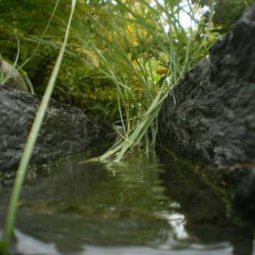 jardin parisien sur toit