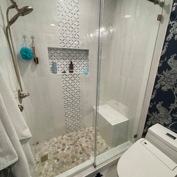Danville Guest Bathroom remodel