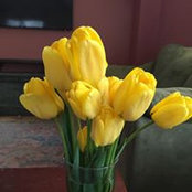 Daryl Fay's photo