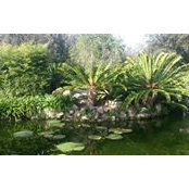 Maryse Montecchio's photo