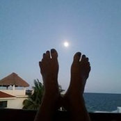 Shari Pritchard's photo