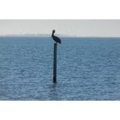 Nancy Rees's photo