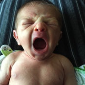 Michael Koral's photo