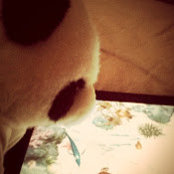 Foto von Winnie Hung