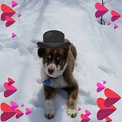Larissa Roberge's photo