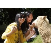 Gina Chien's photo