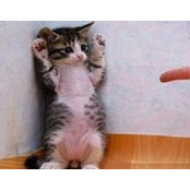 Cathy Bogenberger's photo