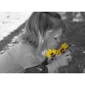 Shelly_Schlecht Pennington's photo