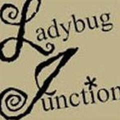 Ladybug Junction
