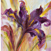Pippa Lane's photo