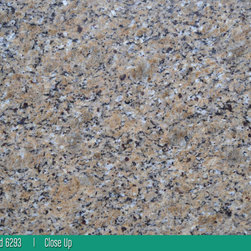 New Venetian Gold - Kitchen Countertops