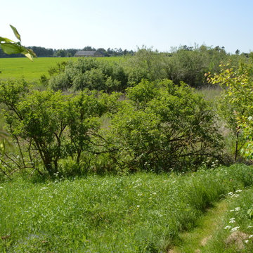 Naturlig havestil med romantisk touch i have på landet