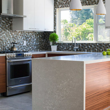 Pacific Avenue Kitchen Renovation