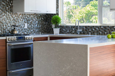Example of a minimalist kitchen design in Los Angeles
