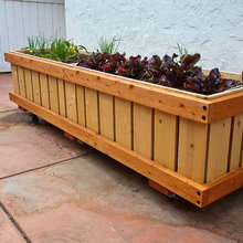 Landscape Ideas
