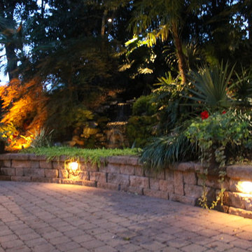 Tropical Backyard Oasis - waterfall and koi pond