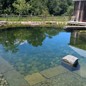Natural Swimming Pool