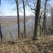 The Site
